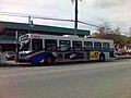 New Flyer D40LF bus at 2nd Avenue and Chatham, in Steveston.