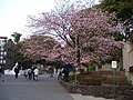 2008年3月14日 (五) 07:49版本的缩略图