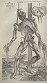 Image 43Vesalius's intricately detailed drawings of human dissections in Fabrica helped to overturn the medical theories of Galen. (from Scientific Revolution)