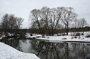 Wiks va Istra kuksa, muvugalon