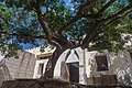 مدخل مسجد قلعة قايتباى بمدينة رشيد محافظة البحيرة مصر