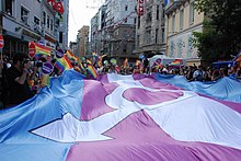 На стамбульском прайде ЛГБТ в 2014 году большой флаг трансгендеров.