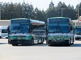 MCI suburban coaches are primarily finished in green.