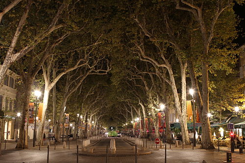 Cours Mirabeau things to do in Marseille