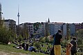 Vue sur le Mauerpark et la Tour de la télévision en arrière-plan