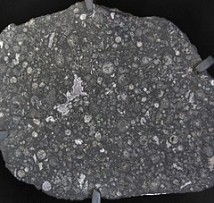阿顏德隕石中的球粒隕石