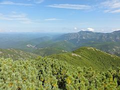 Sikhote-Aline dans les environs d'Amgou.