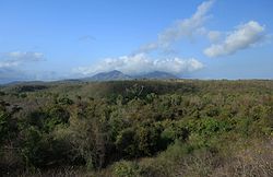 Scorcio del Parco nazionale di Bali Barat