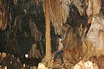 Miniatura para Monumento natural cueva Alfredo Jahn