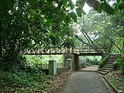 Міст у ботанічному саду