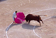 Corrida de toros