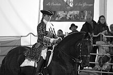 Photographie en noir et blanc représentant un Murgese de profil monté par une cavalière en costume baroque