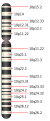 Vorschaubild der Version vom 17:19, 29. Dez. 2011