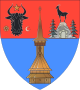 Distret de Maramureș - Stema