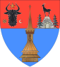 Maramureș (circulus): insigne