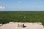Miniatura para Bosques húmedos de Yucatán