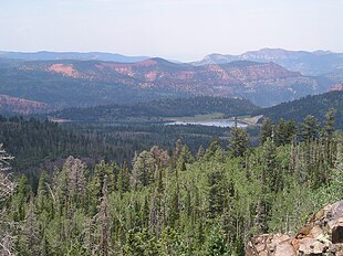 Una foto della veduta attraverso la foresta nazionale di Dixie dal punto panoramico di Yankee Meadow