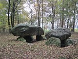 Dolmeno en Apeldorn (Malsupra Saksio) Germanio 01.JPG