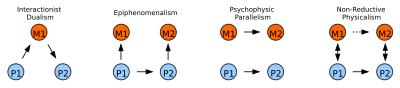 Four varieties of dualist causal interaction. The arrows indicate the direction of causations. Mental and physical states are shown in red and blue, respectively. DualismCausationViews3.svg