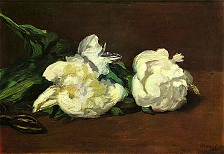 Pivoines blanches, 1864, Paris, musée d'Orsay.