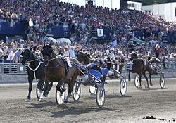 Elitloppet 2014 002.jpg