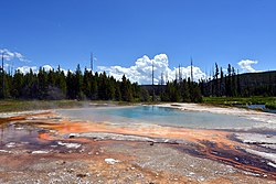 Green Spring at Black Sand Basin Hot Springs, 2019