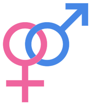 One common version of a Heterosexuality symbol