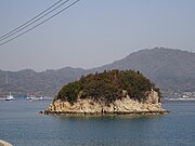 ホヤ島（高島の属島）