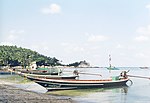 Koh Tao Mae Haad longtails.jpg