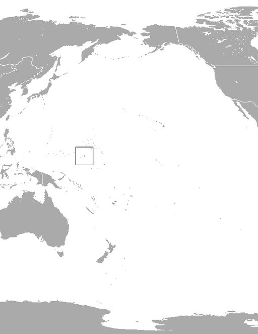 Kosrae Flying Fox area