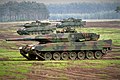Leopard 2A5 của Đức