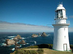 Maatsuyker Island Lighthouse mit den Needle Rocks (links)