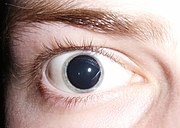 La dilatación de las pupilas es una de las reacciones físicas del LSD