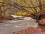 Der Gelpebach im Unterlauf