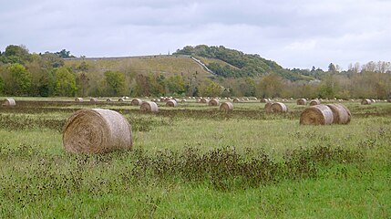 Champs avec des balles de paille ; en arrière-plan au-delà du bras de la Loire, les coteaux vinicoles de Savennières.