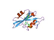 1o48​: Kristalna struktura -{SH2}- u kompleksu sa -{RU85053}-.