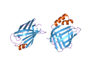 2frs: Crystal structure of the f15w mutant of apo-cellular retinoic acid binding protein type ii at 1.51 angstroms resolution