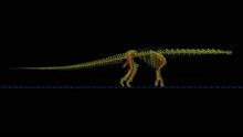 Файл: PLOS ONE Sauropod locomotion s010.ogv