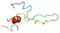 Белок CCKAR PDB 1d6g.png