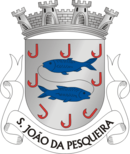 Brasão de São João da Pesqueira