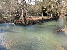 Saint-Germain-des-Prés (Loiret) - 03.jpg