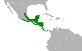 Distribución geográfica del pepitero cabecinegro.