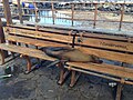 Image 57Adult Galápagos sea lion resting on a park bench in Puerto Baquerizo Moreno (from Galápagos Islands)