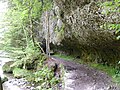 Schluchtweg mit Tunnel am oberen Eingang zum Sihlsprung