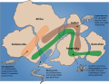 Paläobiogeographische Verbreitungsgebiete von Cynognathus, Mesosaurus, Glossopteris-Flora und Lystrosaurus zur Zeit Gondwanas