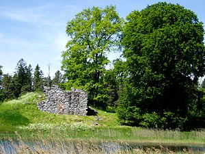 Toftaholms borgruin på Stenhusholmen i juni 2010.