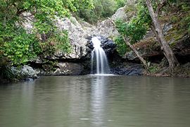 Саншайн-Кост, Квинсленд - водопад Кондалилла.jpg