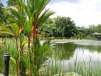 Singapore Botanic Gardens things to do in Seletar