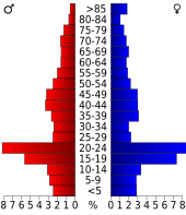 Bevolkingspiramide Wayne County