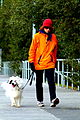 Image 36Walking a dog (from Dog)